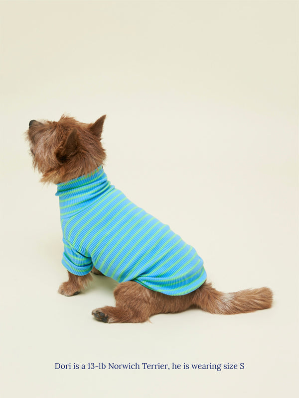 Little Beast Dog Sweatshirt Hella Cool Sweatshirt