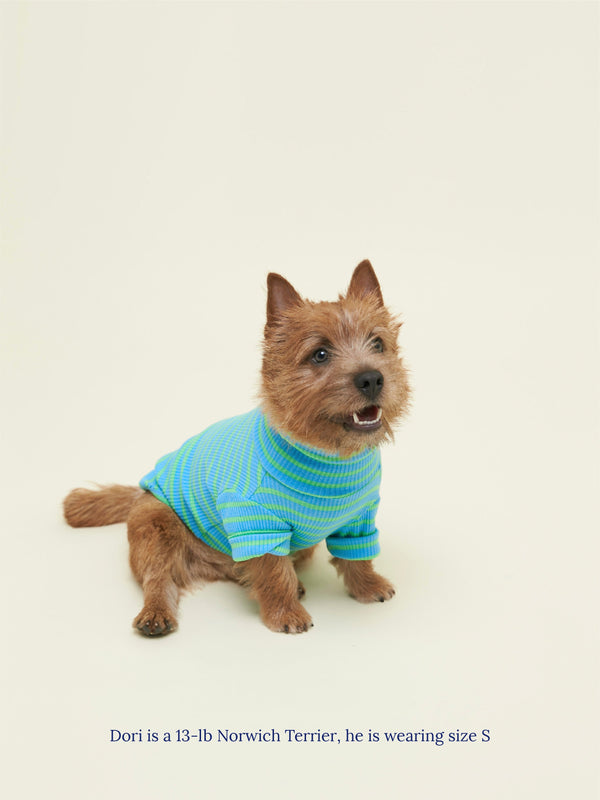Little Beast Dog Sweatshirt Hella Cool Sweatshirt
