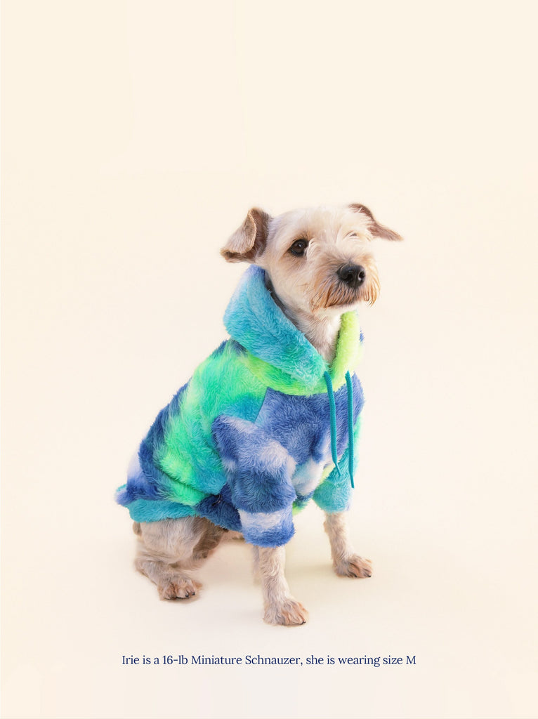 Little Beast Dog Hoodie It's Groovy Baby Fleece Hoodie