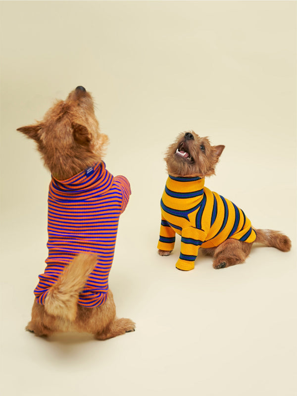 Little Beast Dog Sweatshirt Knickerbocker Sweatshirt
