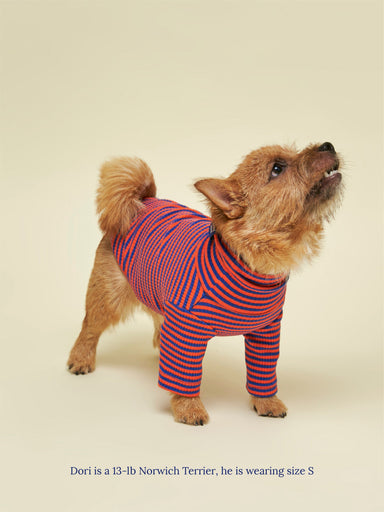 Dog Clothes & Apparel by Little Beast