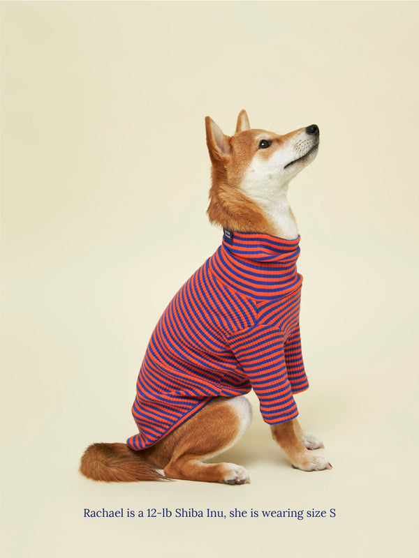 Little Beast Dog Sweatshirt Knickerbocker Sweatshirt