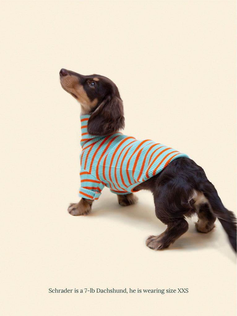 Little Beast Dog Sweatshirt Life's a Beach Sweatshirt