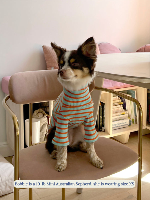 Little Beast Dog Sweatshirt Life's a Beach Sweatshirt
