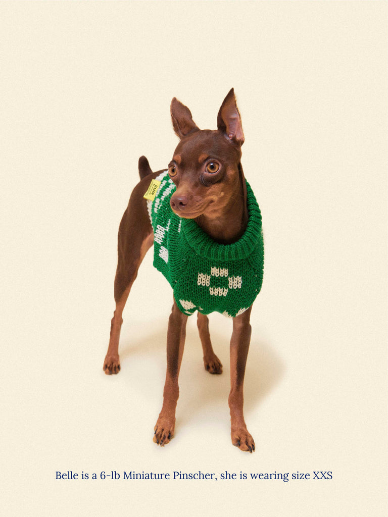 Lucky Floral x Memorial Day Sweater – Little Beast