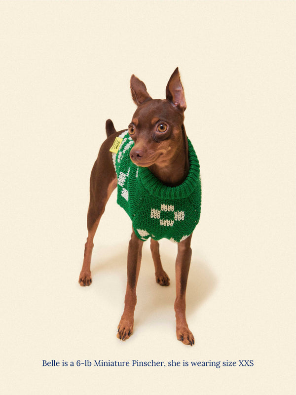 Little Beast Dog Sweater Lucky Floral x Memorial Day Sweater