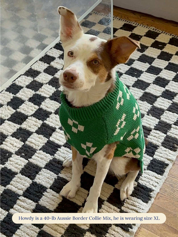 Little Beast Dog Sweater Lucky Floral x Memorial Day Sweater