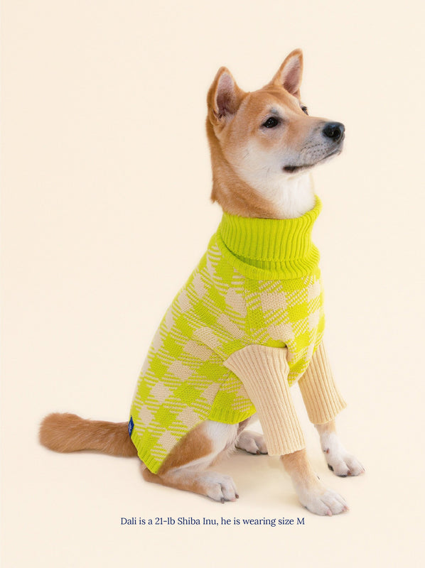 Little Beast Dog Sweater Meet the Parents Sweater
