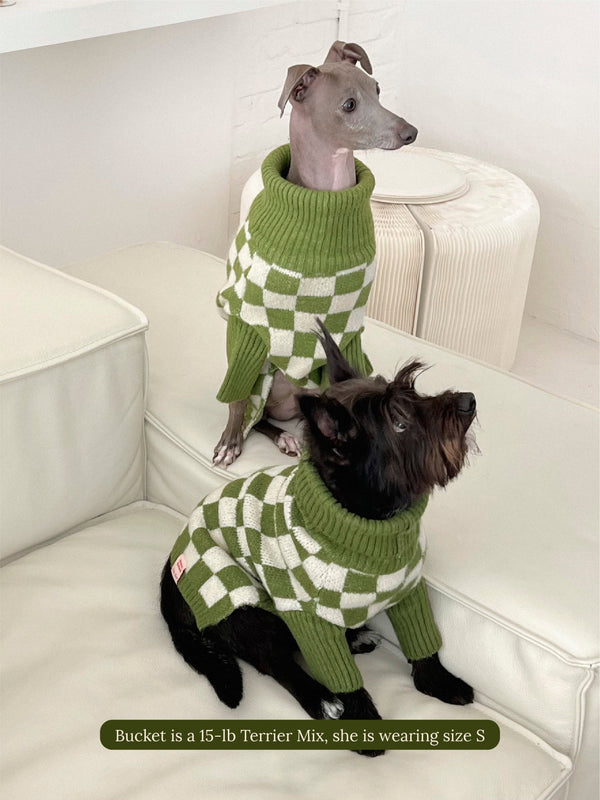 Little Beast Dog Sweater Meet the Parents X Lisa Says Gah ✿