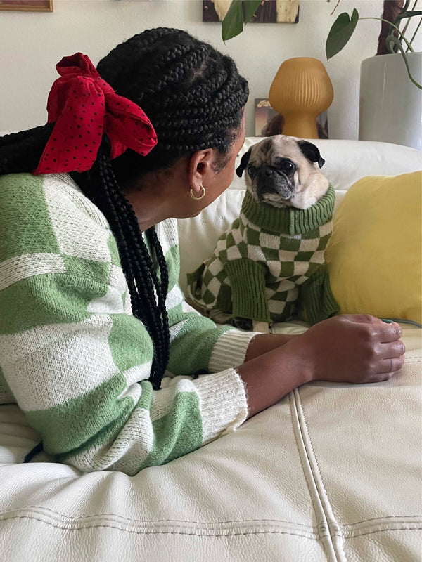 Little Beast Dog Sweater Meet the Parents X Lisa Says Gah ✿
