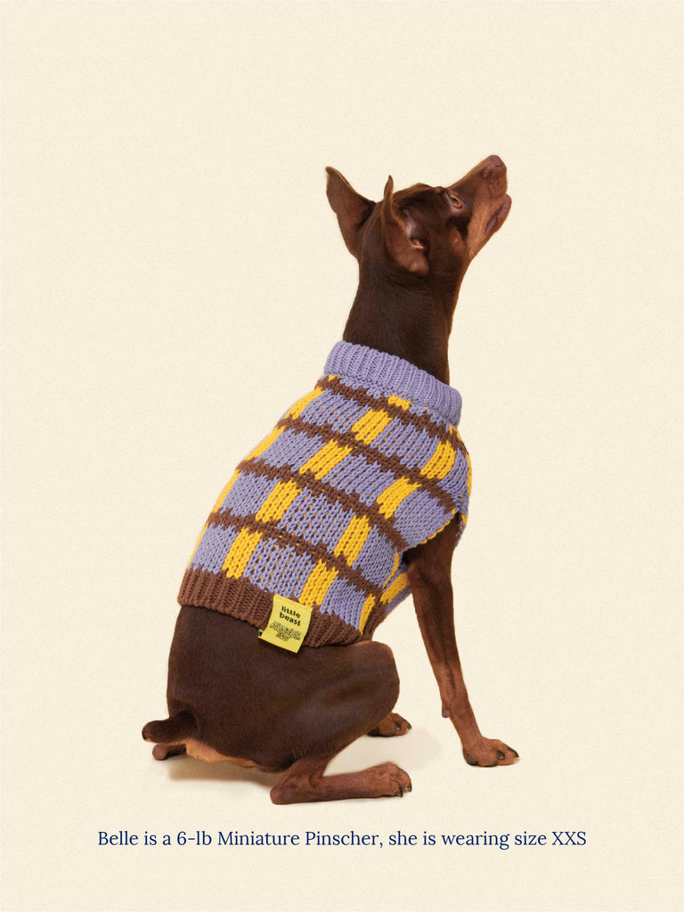 Little Beast Dog Sweater Meet the Parents x Memorial Day Sweater