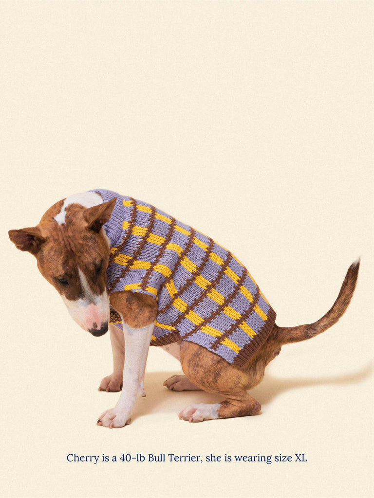 Little Beast Dog Sweater Meet the Parents x Memorial Day Sweater