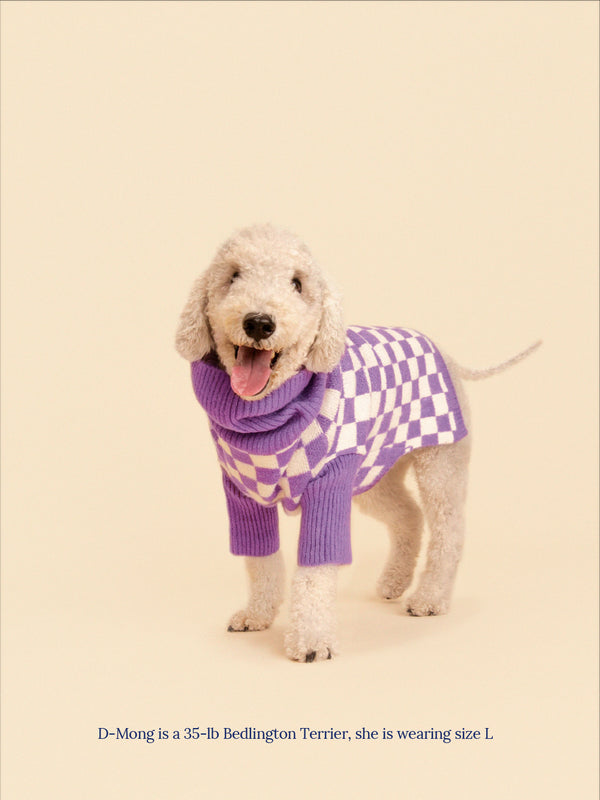 Little Beast Dog Sweater Meet the Parents X Wray Sweater