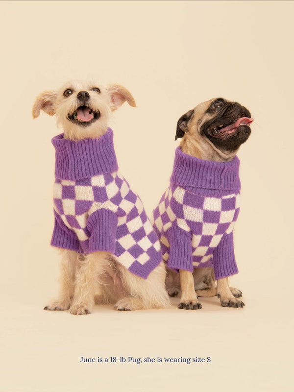 Little Beast Dog Sweater Meet the Parents X Wray Sweater