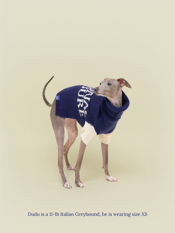 Little Beast Dog Sweater National Treasure Sweater