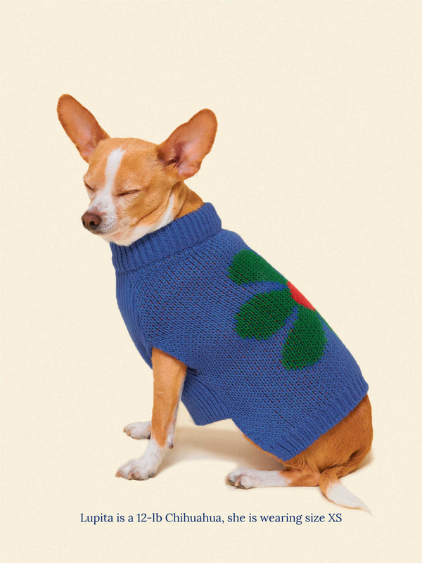 Little Beast Dog Sweater Painkiller Daisy ✿ x Memorial Day Sweater