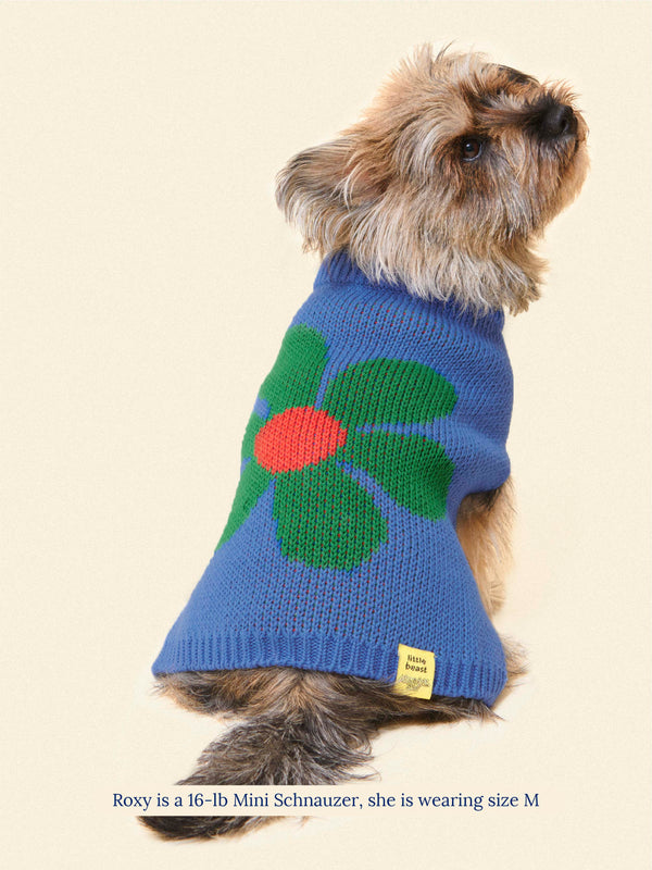 Little Beast Dog Sweater Painkiller Daisy ✿ x Memorial Day Sweater