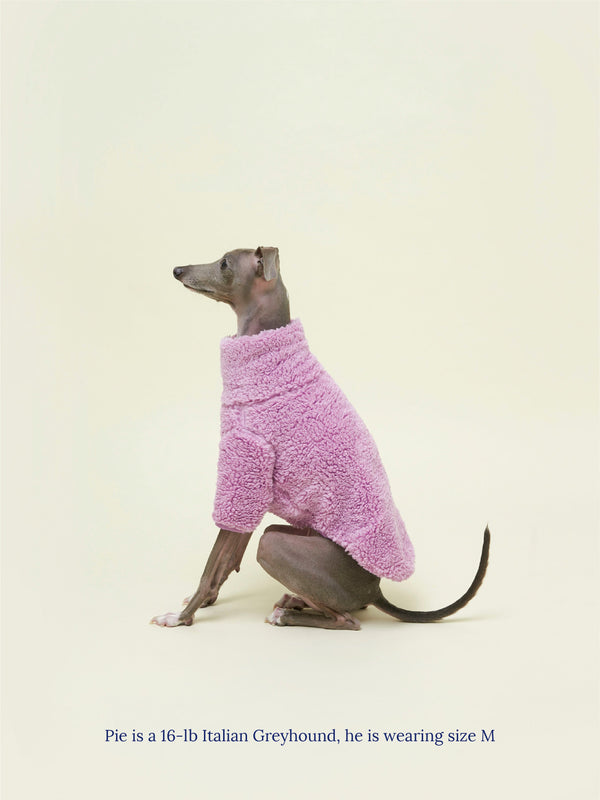 Little Beast Dog Sweatshirt Purple Disco Fleece Sweatshirt