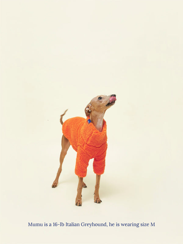 Little Beast Dog Sweatshirt Rhymes With Orange Fleece Sweatshirt