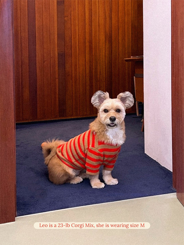 Little Beast Dog Sweatshirt Rudolph 🦌 Sweatshirt