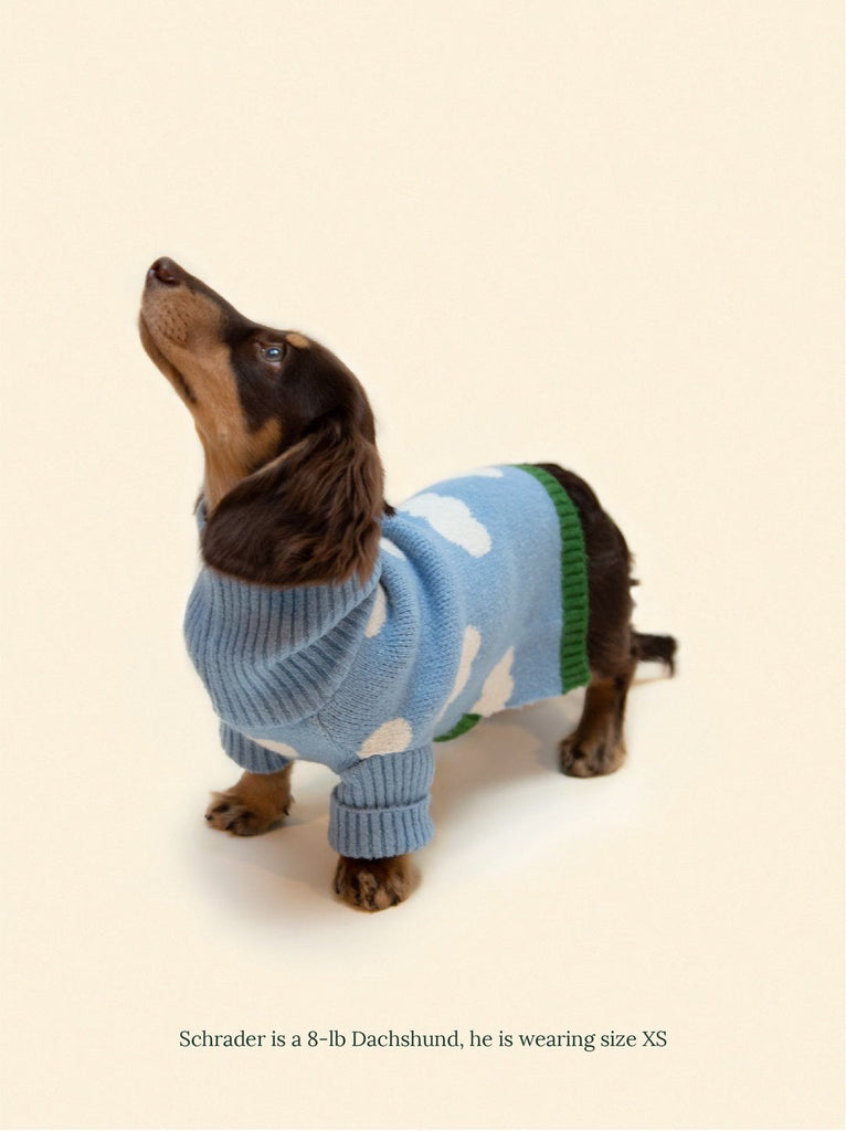 Little Beast Dog Sweater Silver Linings Sweater