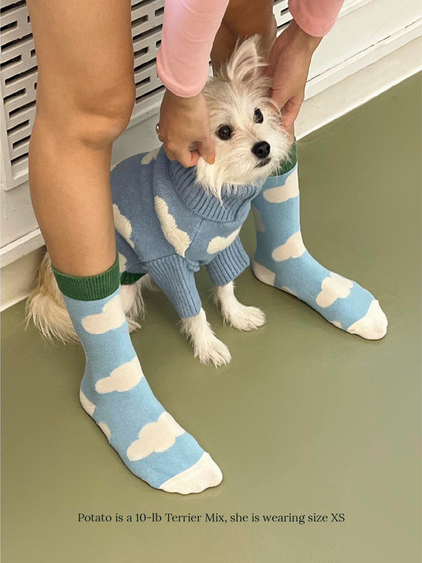 Little Beast Dog Sweater Silver Linings Sweater