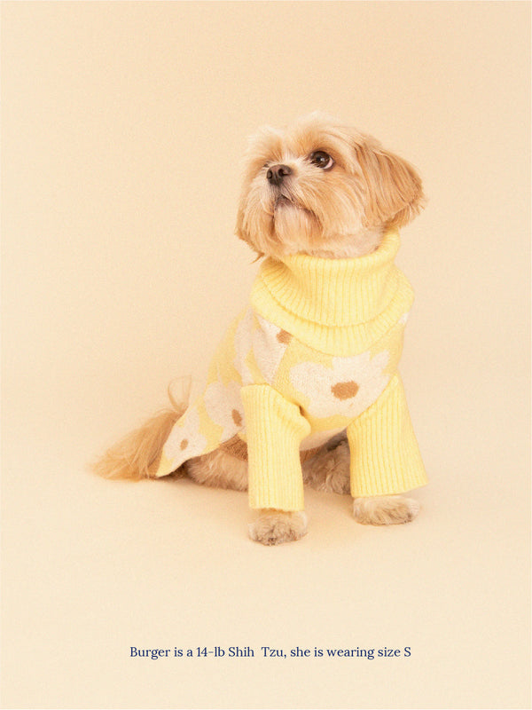 Little Beast Dog Sweater Sunny Side Sweater