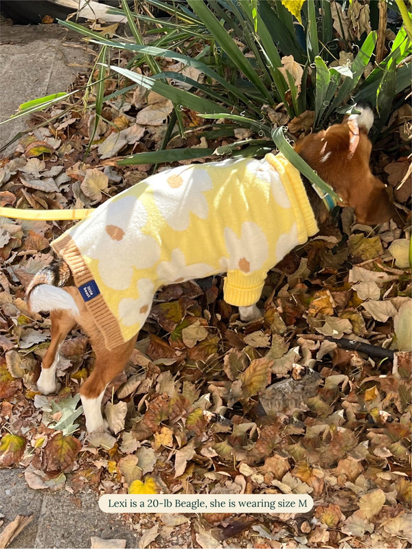 Little Beast Dog Sweater Sunny Side Sweater