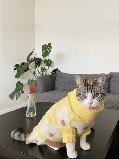 Sunny Side Sweater