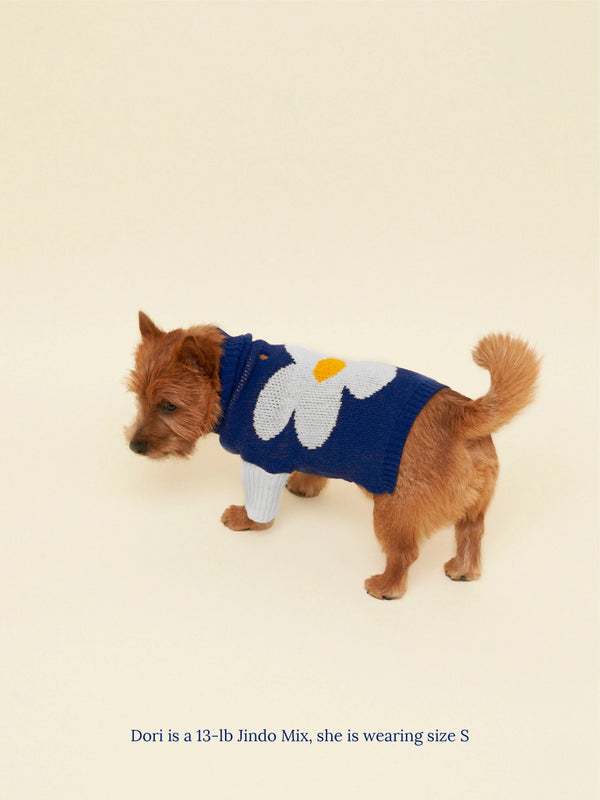 Little Beast Dog Sweater The Good Vibes Sweater