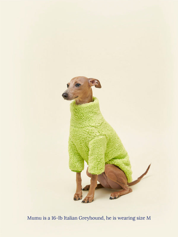 Little Beast Dog Sweatshirt The Highlighter Fleece Sweatshirt