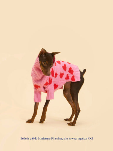 Dog Clothes & Apparel by Little Beast
