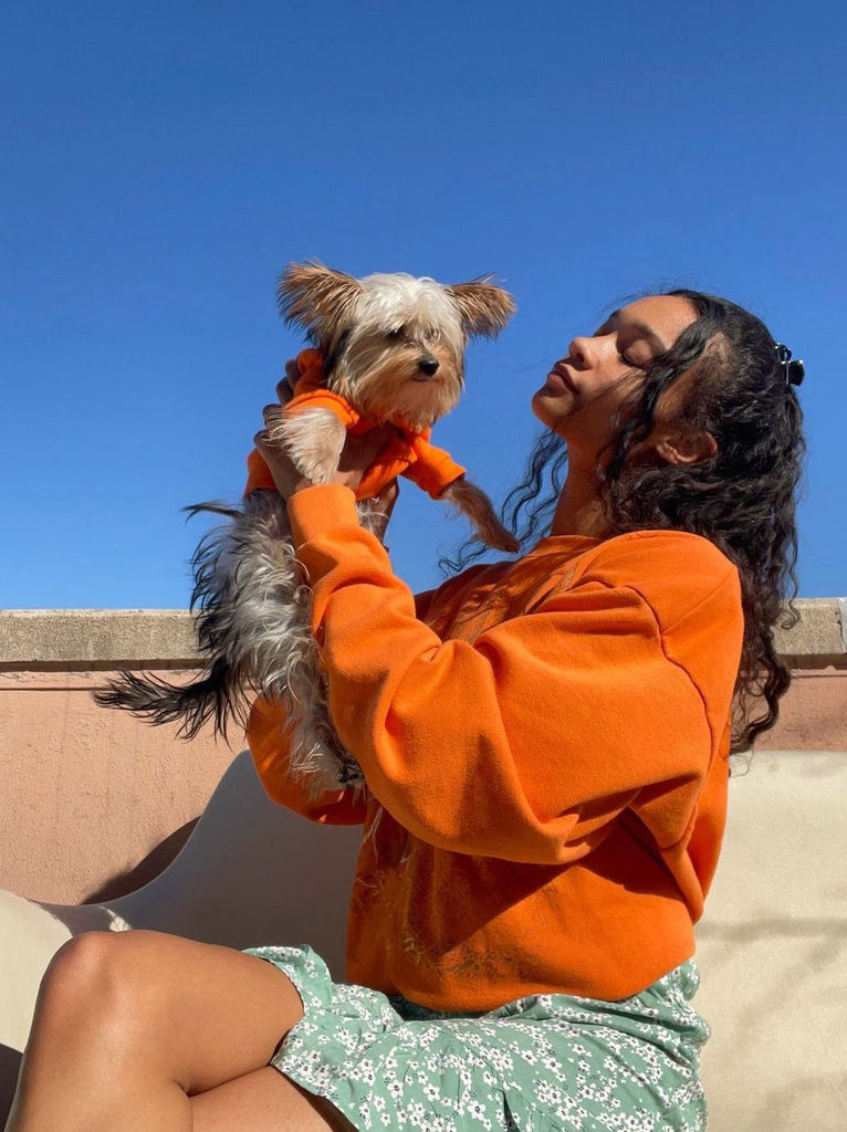 Little Beast Dog Sweatshirt The Lucky Orange Sweatshirt