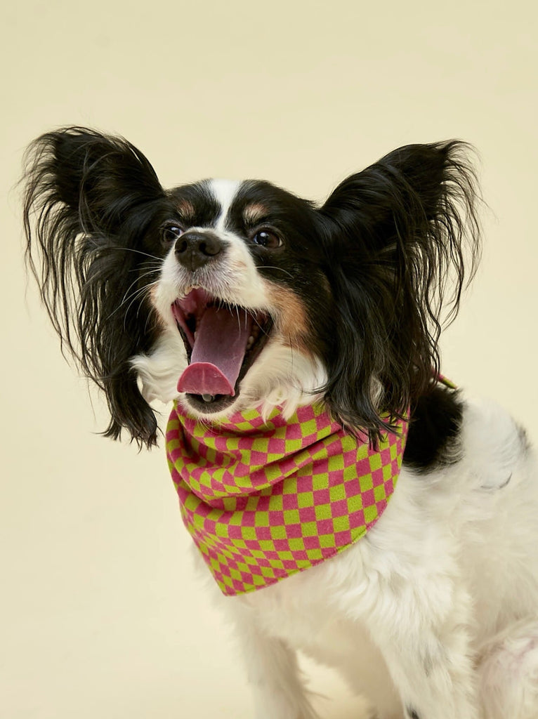 Little Beast Dog Bandana Weekend Picnic Bandana