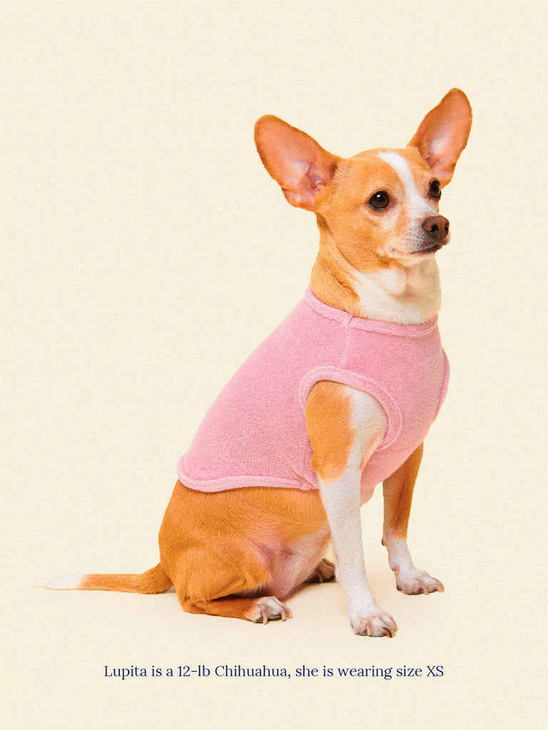 littlebeastus Dog Tank Top Hot Girl Summer Tank Top - Pink