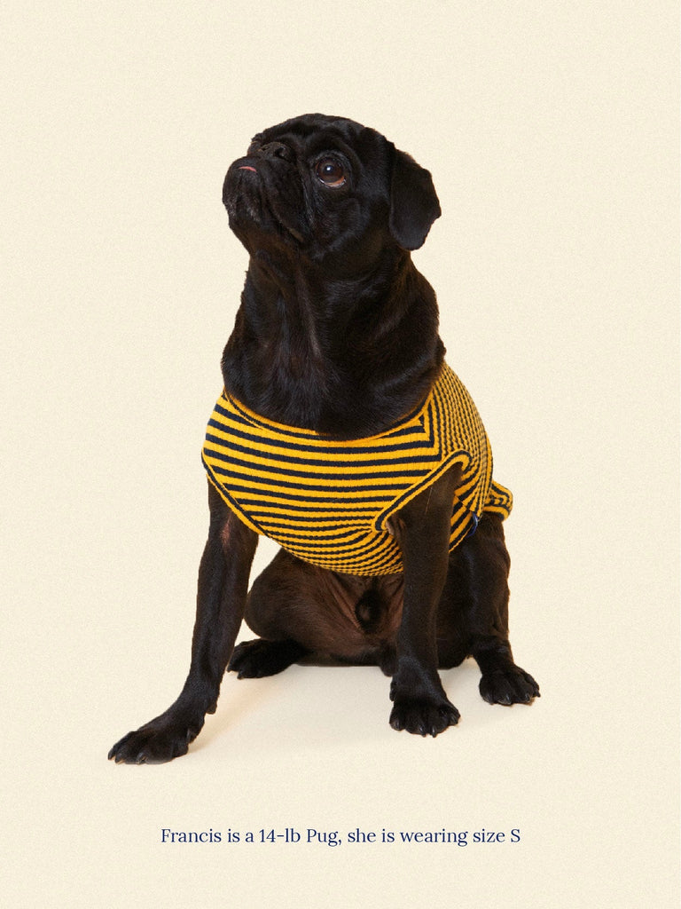 littlebeastus Dog Tank Top Met on Bumble Tank Top